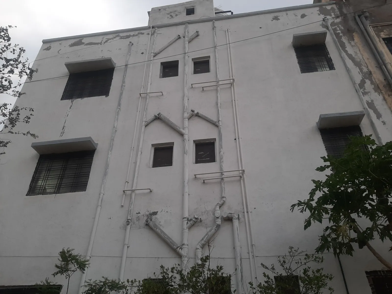 SAI MANGAL