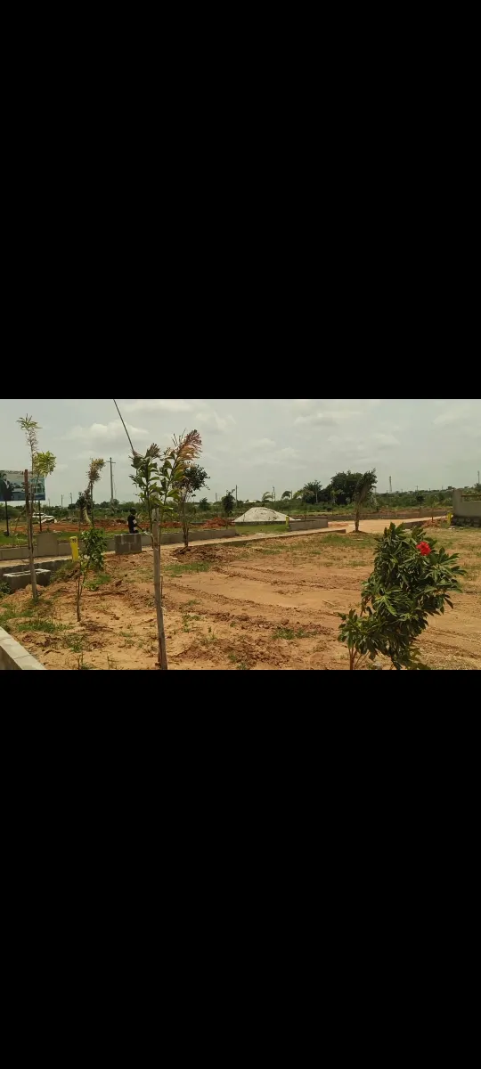 Open village plots