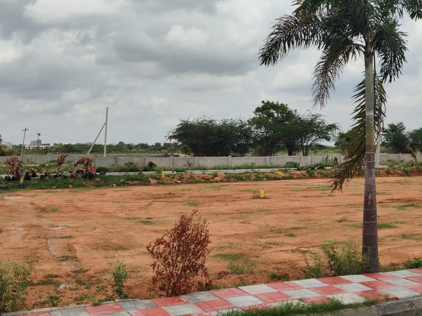 Residential open plot