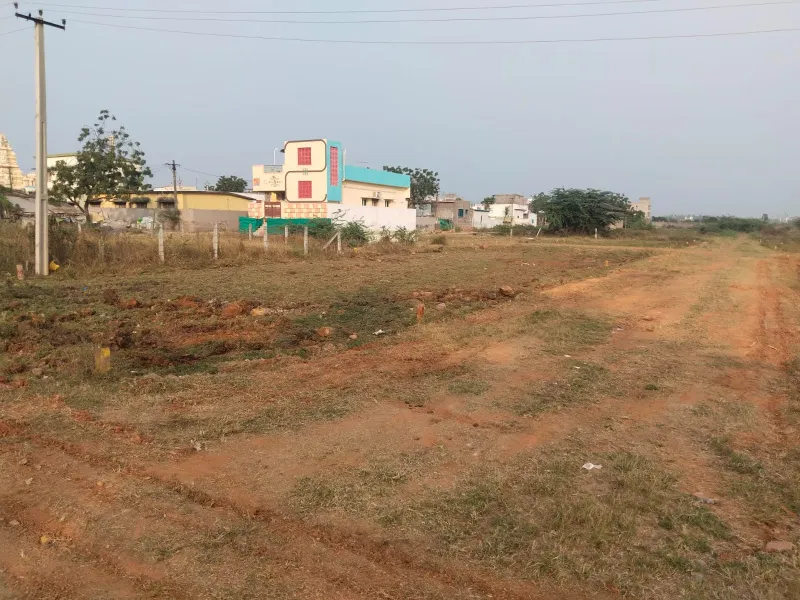 241 Sq Yds East Facing Plot for Sale in Rajahmundry