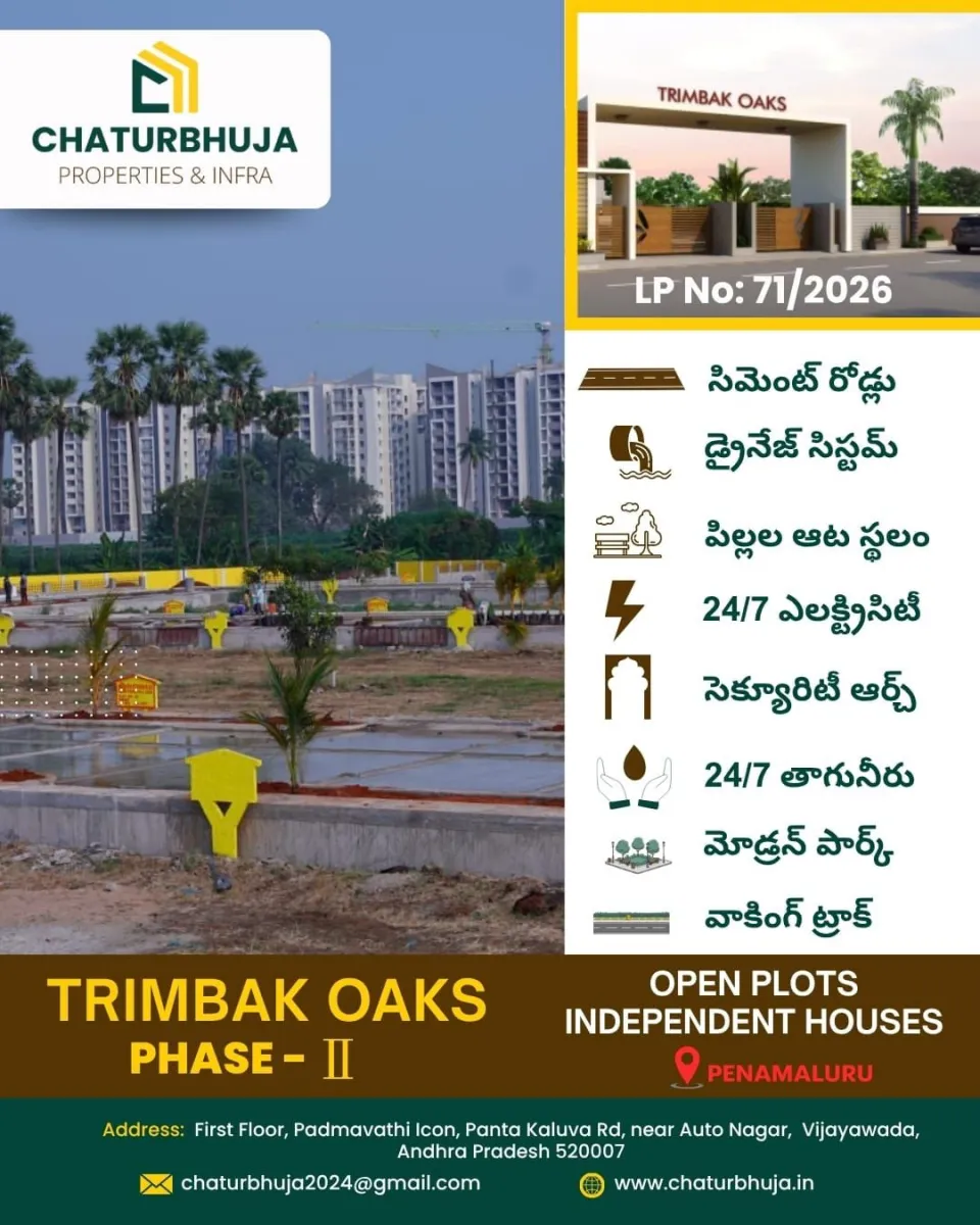 Trimbak oaks