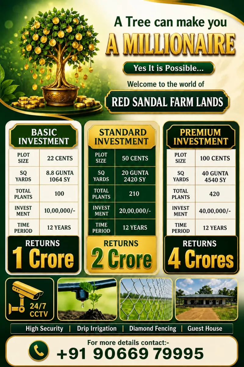 Red sandal farmland
